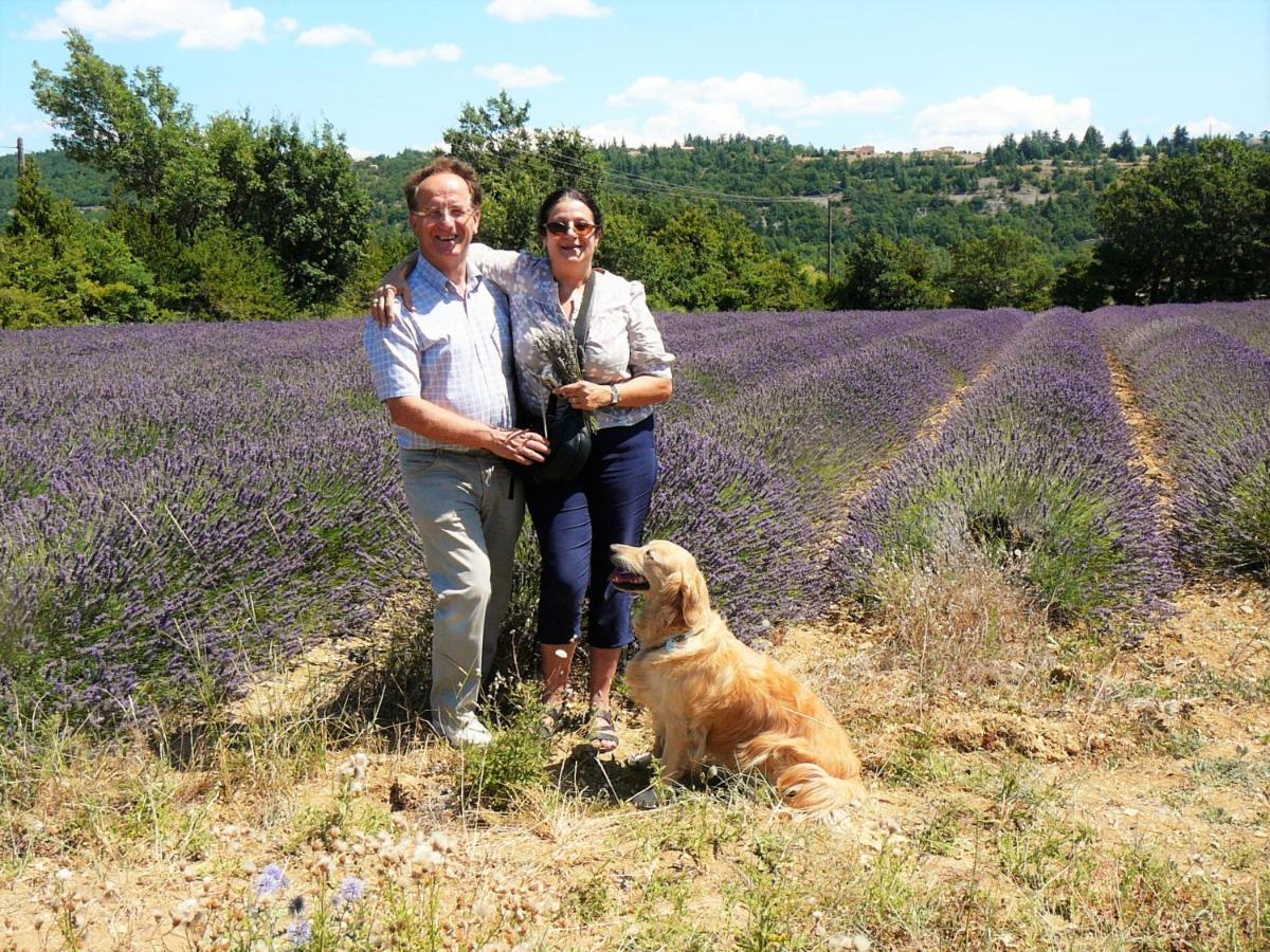 Santolines En Provence Acomodação com café da manhã Piolenc Exterior foto