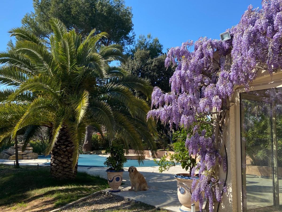Santolines En Provence Acomodação com café da manhã Piolenc Exterior foto
